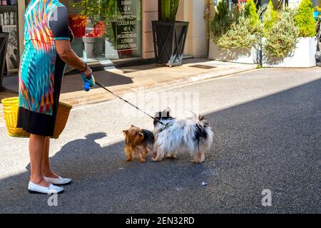 Eine Frau geht mit ihrem Hund spazieren, während ein anderer Hund sich ihnen vor einem Schönheitssalon in der Riviera-Stadt Menton, Frankreich, anschließt. Stockfoto