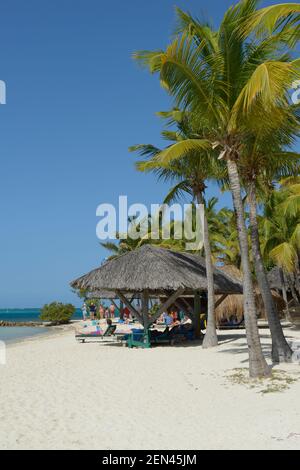 Palapas am Sandstrand am Bitter End Yacht Club, Gorda Sound, Virgin Gorda, Britische Jungferninseln Stockfoto