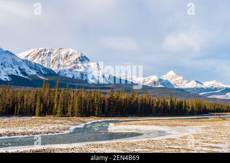 Panoramablick auf den Athabasca Gletscher in der kanadischen Rocky Mountains Stockfoto