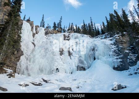 Frozen Tangle Creek Falls im Jasper National Park, Kanada Stockfoto