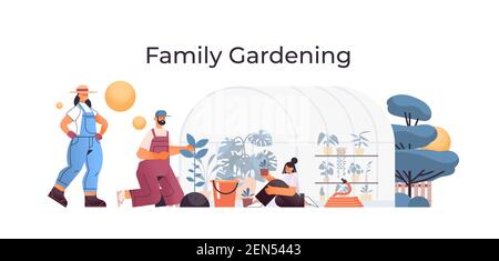 Eltern und Tochter kümmern sich um Pflanzen Familie arbeiten zusammen Im Gewächshaus Gartenarbeit Konzept volle Länge horizontale Vektor-Illustration Stock Vektor