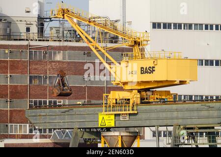 Ludwigshafen, Deutschland. Februar 2021, 24th. Auf dem Gelände des Chemieunternehmens BASF steht ein Kran mit der Aufschrift "BASF". Das Unternehmen wird seine Zahlen für das vergangene Geschäftsjahr am Freitag (Feb L 26, S. Quelle: Uwe Anspach/dpa/Alamy Live News Stockfoto