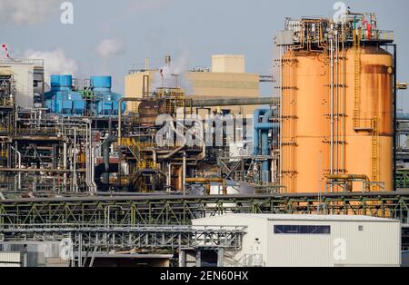 Ludwigshafen, Deutschland. Februar 2021, 24th. Gebäude auf dem Gelände des Chemieunternehmens BASF. Das Unternehmen wird seine Zahlen für das vergangene Geschäftsjahr am Freitag (Feb L 26, S. Quelle: Uwe Anspach/dpa/Alamy Live News Stockfoto