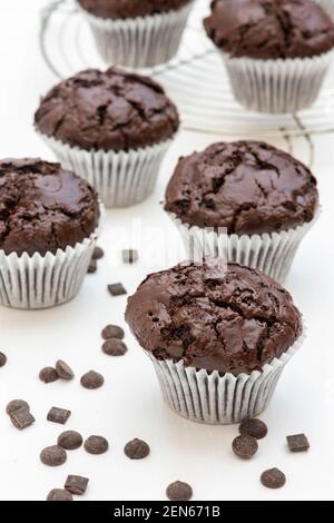 Hausgemachte doppelte Schokolade Muffins Stockfoto