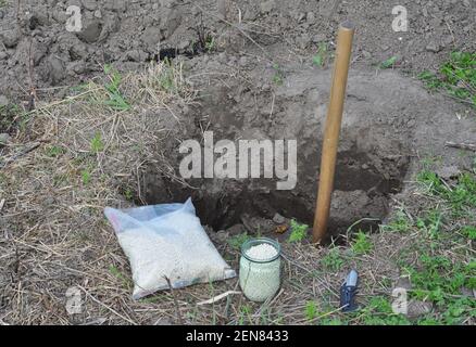 Im Frühjahr einen Baum zu Pflanzen, indem man ein tiefes und breites Loch ausgräbt, die Wurzeln des Baumes ausschont und mineralische Düngemittel für den Boden vorbereitet. Stockfoto