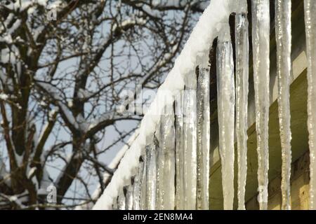 Große Eiszapfen hängen entlang der Kante eines Hausdaches als Zeichen von Dachproblemen. Eisdämme auf dem Dach im Winter. Stockfoto