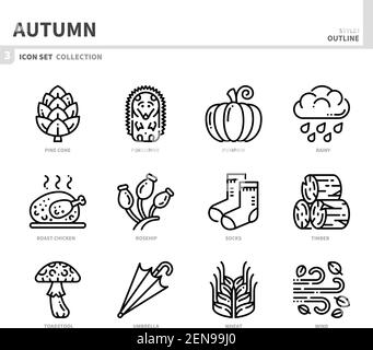 Herbst Saison Icon Set, Umriss Stil, Vektor und Illustration Stock Vektor