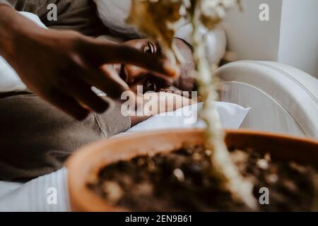 Junger Mann, der auf dem Bett liegend auf die Pflanze schaut Stockfoto