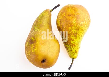 Frische Birnen, gelbe Früchte isoliert auf weißem Hintergrund Stockfoto