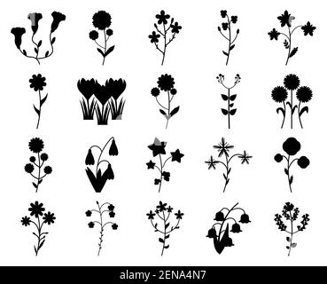 Set von Silhouetten von Wildblumen isoliert auf einem weißen Hintergrund. Vektorgrafik Blumen. Stock Vektor