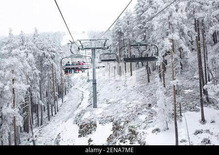 Seilbahnen mitten in einem Nadelwald, Winterkonzept Stockfoto