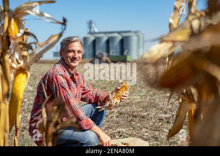 Landwirt, Traktor und Getreidesilos bei der Erntezeit. Landwirt mit Maispfaube in den Händen und Blick auf die Kamera. Stockfoto