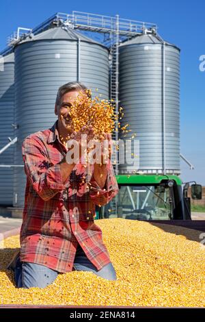Landwirt mit Maiskörnern in den Händen sitzen in Anhänger voller Mais-Samen. Farmer's Hands Holding Erntekorn. Stockfoto
