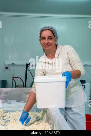 Weibliche Molkereifabrik Arbeiter in blauen Handschuhen Verpackung Käse in Kunststoff-Boxen. Stockfoto