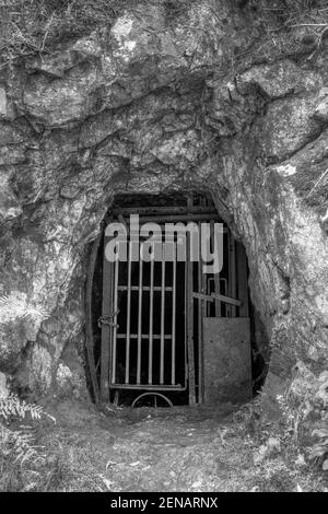 Schwarz-Weiß-Bild eines alten Minenstollens, der mit Metallstäben abgedichtet ist. Fotografiert in der Crown Mine, Karangahake Gorge, Neuseeland Stockfoto