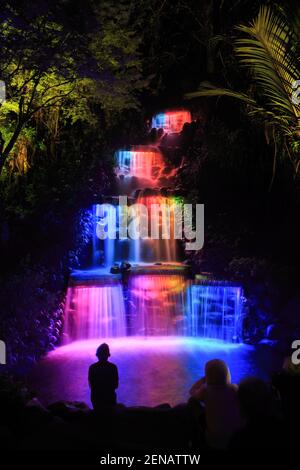 Ein wunderschön beleuchteter Wasserfall in der Nacht. Fotografiert im Pukekura Park, New Plymouth, Neuseeland, während des jährlichen Festival of Lights Stockfoto