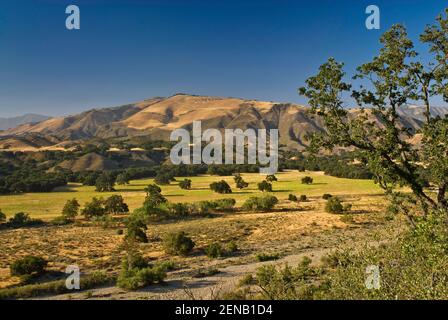 San Rafael Mountains, Blick von Paradise Road in Santa Ynez Mountains, Kalifornien, USA Stockfoto