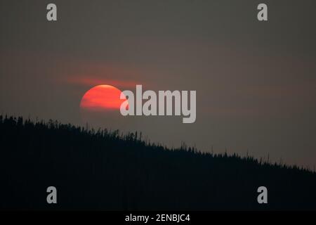 Schattenbäume, Rauch und Sonnenuntergang sorgen für Stimmung, Yellowstone National Park, Sommer 2019. Stockfoto