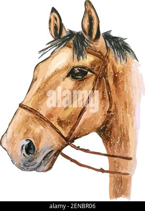 Hand gezeichnet Aquarell bunte Illustration von braunem Pferd mit schwarzer Mähne isoliert auf weißem Hintergrund. Stock Vektor