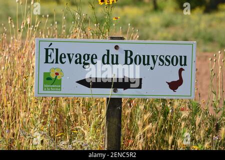 Foie Gras Produktion, Limousin Region, Frankreich Stockfoto