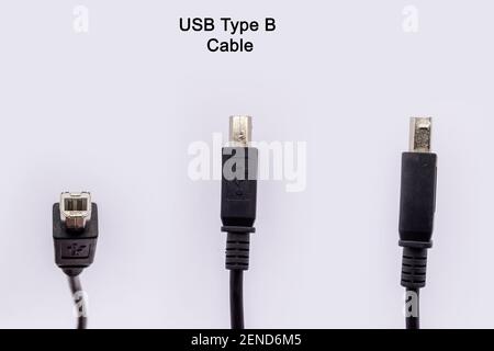 USB-Kabel Typ B SuperSpeed USB-Adapterstecker Kabelstecker für Drucker, Scanner - Schwarz. Isoliert auf weißem Hintergrund Stockfoto