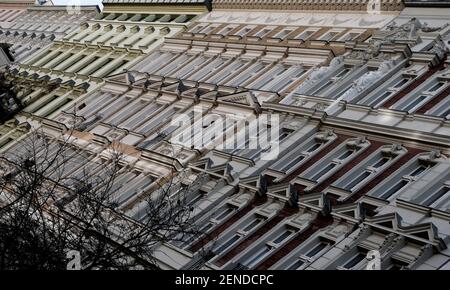 Berlin, Deutschland. Februar 2021, 25th. Wohngebäude in der Rheinsberger Straße im Prenzlauer Berg. Quelle: Jens Kalaene/dpa-Zentralbild/ZB/dpa/Alamy Live News Stockfoto