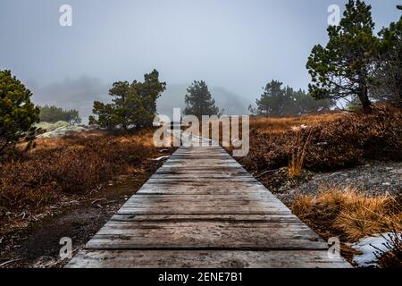 Holzsteg auf der Göscheneralp, Schweiz an einem nebligen Herbsttag Stockfoto