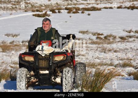 Ein Mann und sein Hund auf dem HONDA Quad Im Schnee Stockfoto