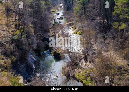 Blick auf den Fluss Merles im Winter durch einen Wald von Eichen und weißen und roten Kiefern. Sta. Maria de Merles, Katalonien, Spanien Stockfoto