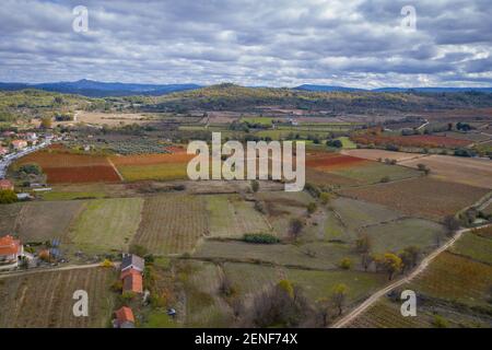 Weinberge rund um Belmonte Drohne Luftaufnahme mit Herbst rot und gelb Farben, in Portugal Stockfoto