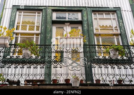 Schöne grüne und weiße Balkon voll mit Pflanzen und Blumen auf dem historischen Dorf Belmonte, Portugal Stockfoto