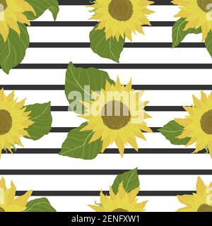 Nahtloses Muster mit Sonnenblumen auf weißem Hintergrund mit schwarzen Streifen. Blumen, Knospen und Blätter. Vektor Hintergrund mit gelben Blume in Cartoon flach de Stock Vektor