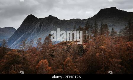 Wolkiger Himmel über Lake District Fells und Hügel mit Bäumen Im Herbst.Dunkle und launische Berglandschaft Landschaft.Panoramic Bild.Scenic View.Nature backgro Stockfoto