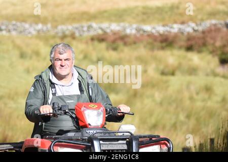 Landwirt & Hund bewegen Schafe mit HONDA ATV Stockfoto