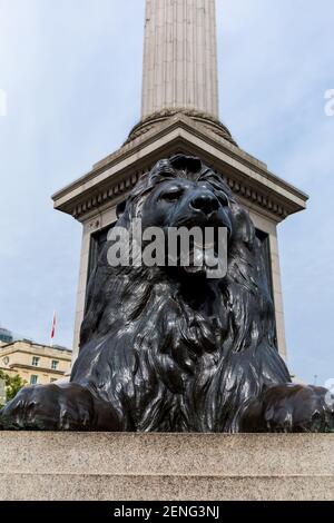 Löwe aus Bronze-Statue von Sir Edwin Landseer, Trafalgar Square, London, England, Vereinigtes Königreich, Europa Stockfoto