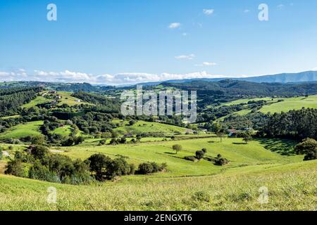 Grüne Hügel und Wiesen in der Nähe der Stadt Comillas, kantabrien in Spanien Stockfoto