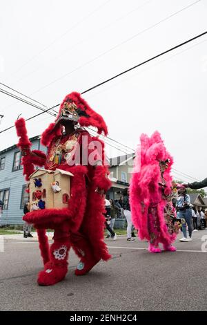 Black Masking Indians (Mardi Gras Indians), verziert in lebendigen gefiederten Anzügen, singen und singen während des Downtown Super Sunday in New Orleans. Stockfoto