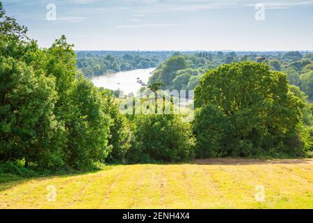 Blick auf die Themse vom Richmond Park, Großbritannien. Landschaft mit Bäumen und Feld in sonnigen Sommertag. Stockfoto