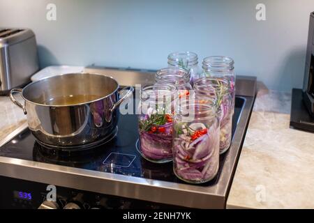Hausgemachte süße und würzige eingelegte rote Zwiebeln in Scheiben geschnitten in einem großen Einmachglas, mit Chili-Paprika, Knoblauch, Pfeffer Hühneraugen, Rosmarin und Apfelwein Stockfoto