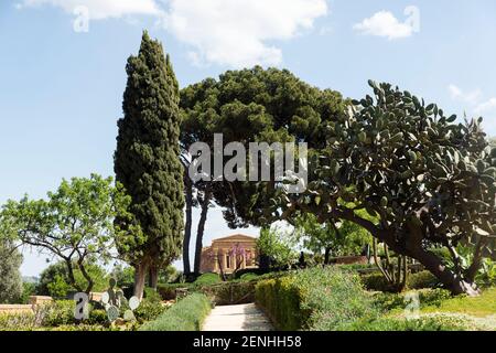 Italien,Sizilien,Agrigento,Tal der Tempel, der Concord Tempel von den Gärten der Villa Aurea aus gesehen Stockfoto