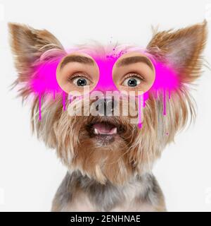 Zeitgenössische Kunst Collage Konzept. Porträt des Hundes mit menschlichen Augen, Graffity-Stil. Konzept des modernen Designs, Surrealismus, Spaß, Kreativität, Inspiration. Lustige Bildmontage. Stockfoto