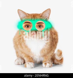 Zeitgenössische Kunst Collage Konzept. Porträt der Katze mit menschlichen Augen, Graffity-Stil. Konzept des modernen Designs, Surrealismus, Spaß, Kreativität, Inspiration. Lustige Bildmontage. Stockfoto