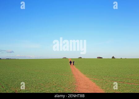 Zwei Personen, die an einem Frühlingstag durch die britische Landschaft wandern. Stockfoto