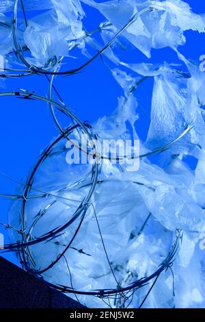 Plastikfolie in Rasierdraht auf einem Zaun verstrickt. Stockfoto