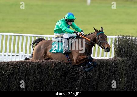 Rose of Aghaboe geritten von Tabitha Worsley klar die letzte, um das Every Race Live auf Racing TV Mares' Handicap Chase auf Warwick Racecourse zu gewinnen. Bilddatum: Freitag, 26. Februar 2021. Stockfoto