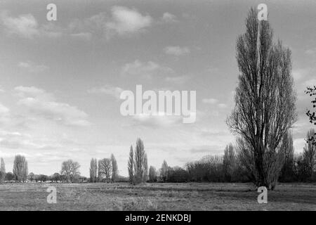 Hackney Marshes, East London, Großbritannien, im Winter 2021 Stockfoto