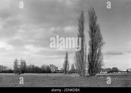 Hackney Marshes im Winter, East London Großbritannien Stockfoto