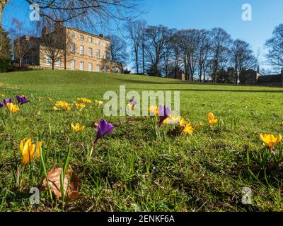 Knaresborough House ein spätes C18 Stadthaus jetzt stadtrat Büros im Frühjahr Knaresborough North Yorkshire England Stockfoto