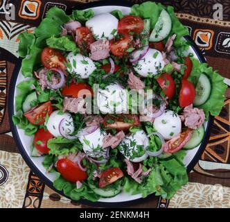 Frischer Salat mit Thunfisch und Kirschtomaten, Mozzarella-Kugeln, Gurken, Kräutern auf dem Teller Stockfoto