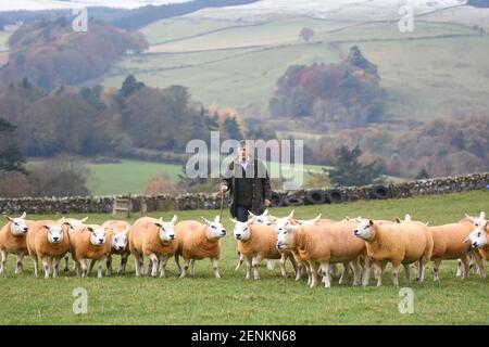 Schottischer Bauer Stockfoto